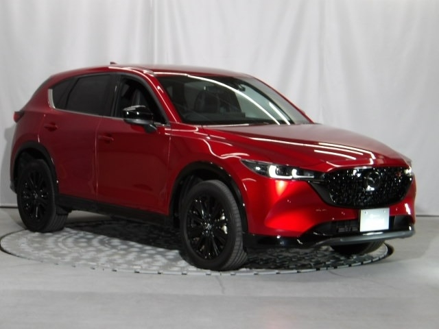 新着中古車