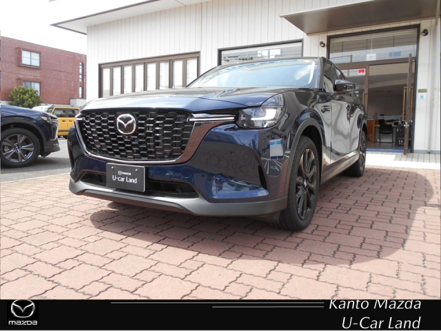 新着中古車