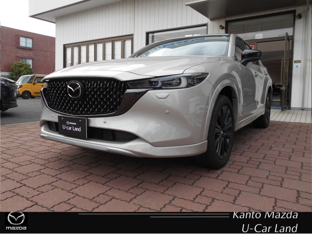 新着中古車