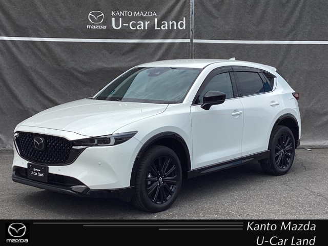 新着中古車