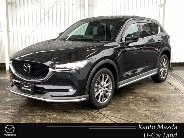 新着中古車