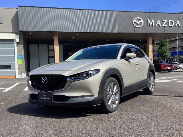 CX-30 2.0 20S プロアクティブ