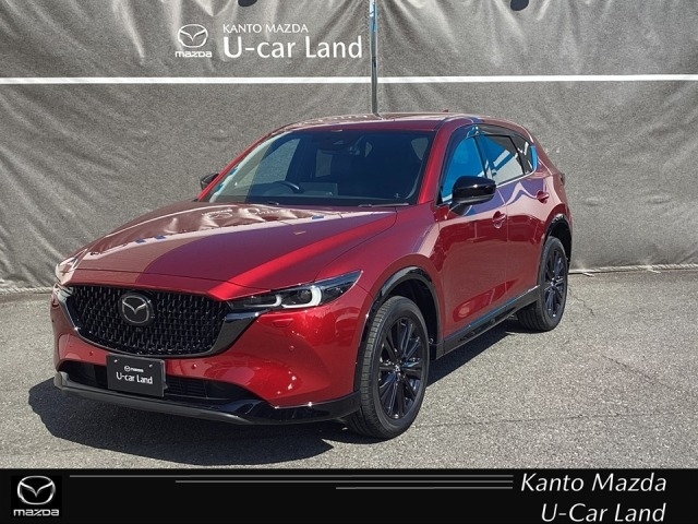 新着中古車