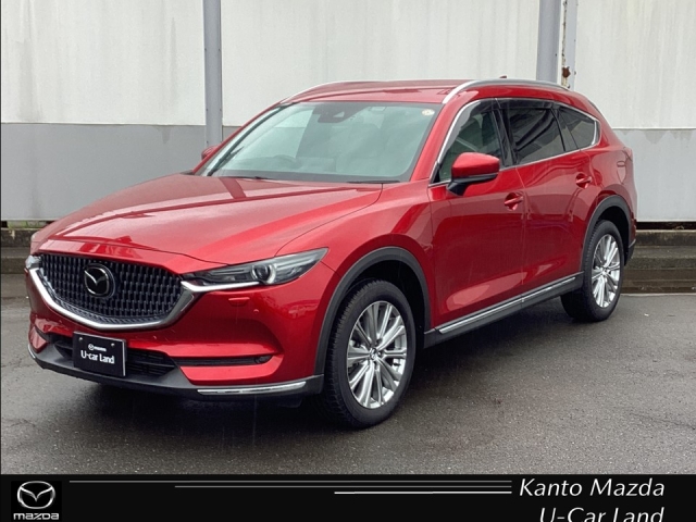新着中古車