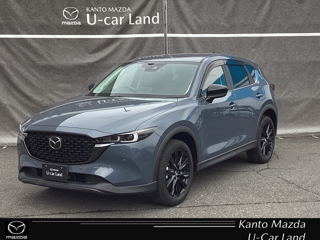 新着中古車