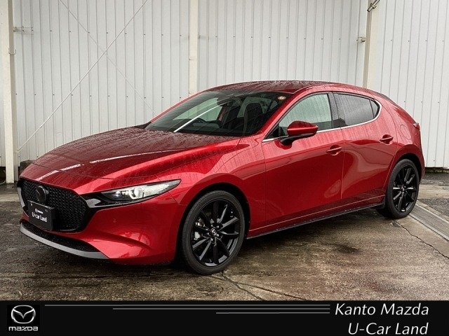 新着中古車