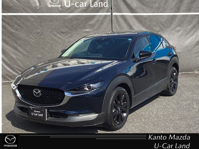 新着中古車
