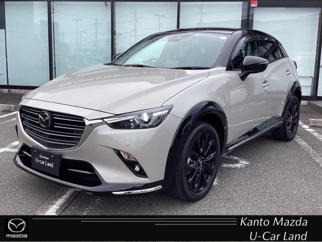 CX-3 15S スーパー エッジー