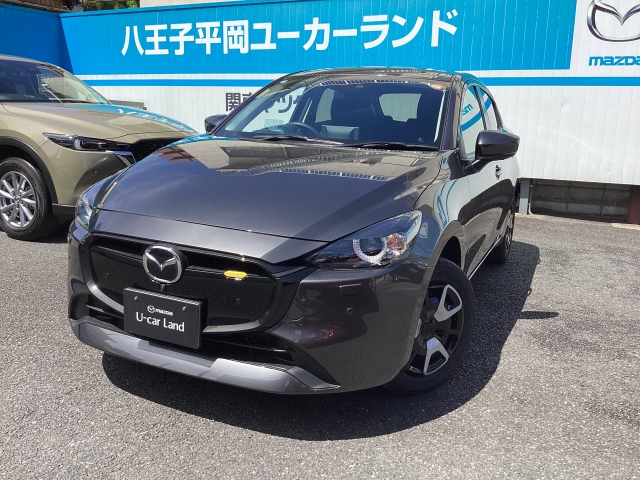 新着中古車