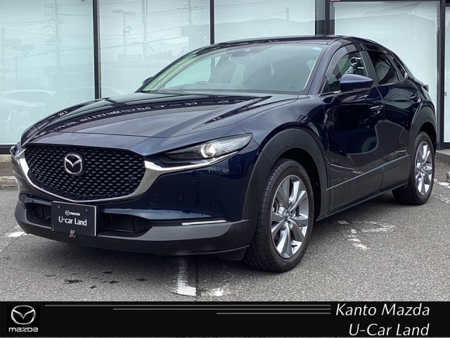 新着中古車