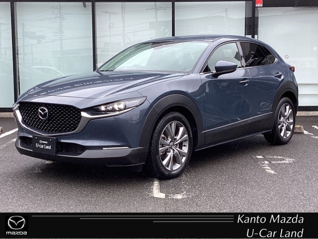 新着中古車