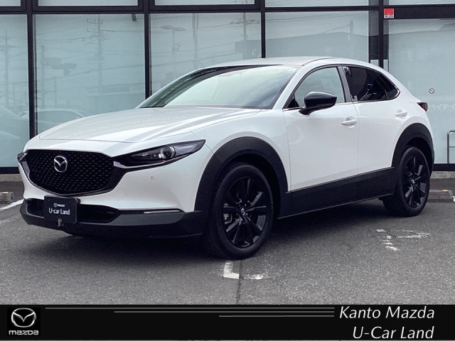 新着中古車