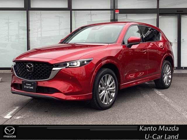 新着中古車