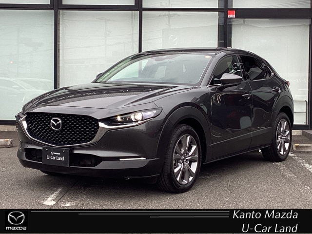CX-30 2.0 20S プロアクティブ