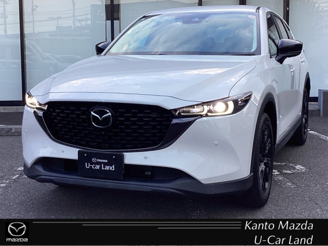 新着中古車