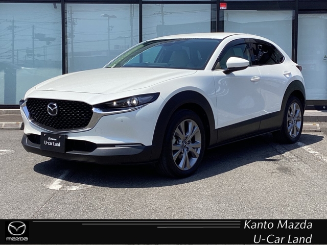 新着中古車