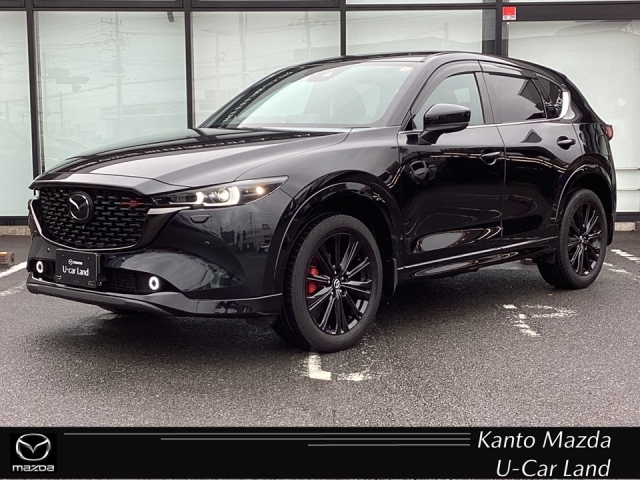 新着中古車
