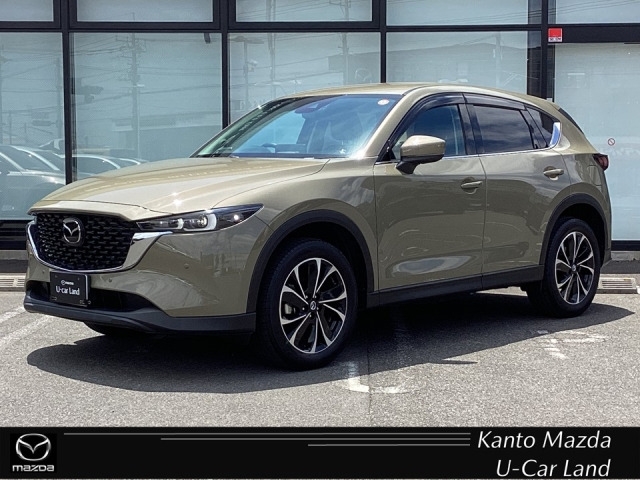 新着中古車