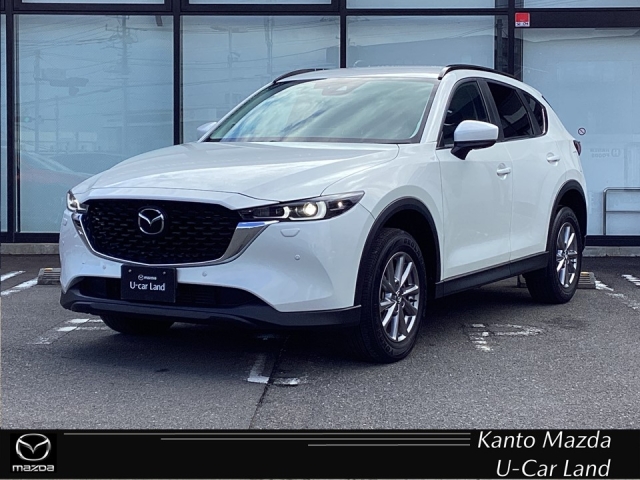 新着中古車