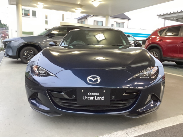 新着中古車