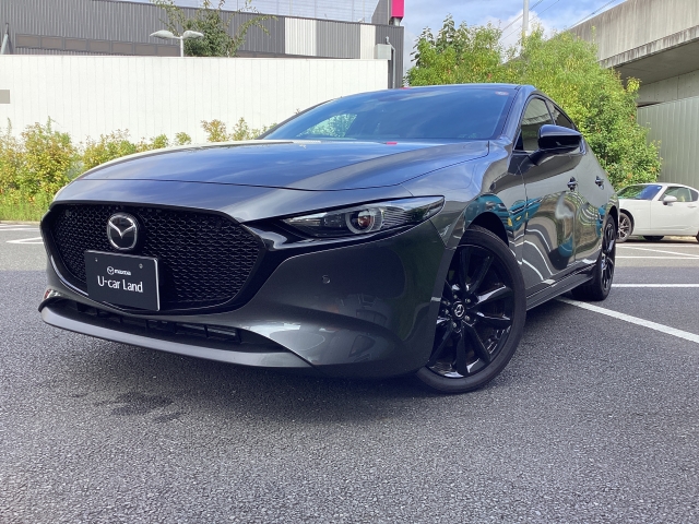 新着中古車