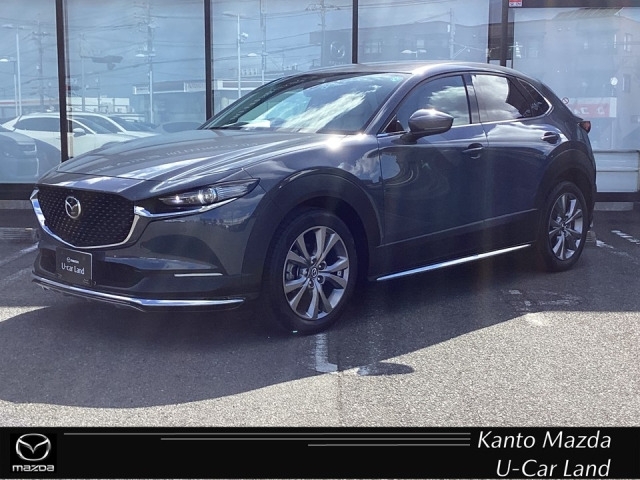 新着中古車