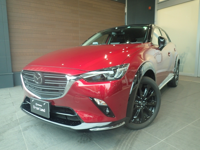 新着中古車