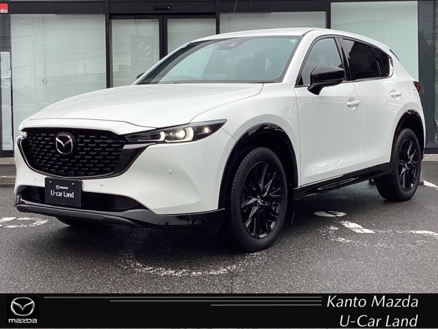 新着中古車