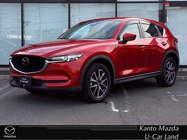 新着中古車