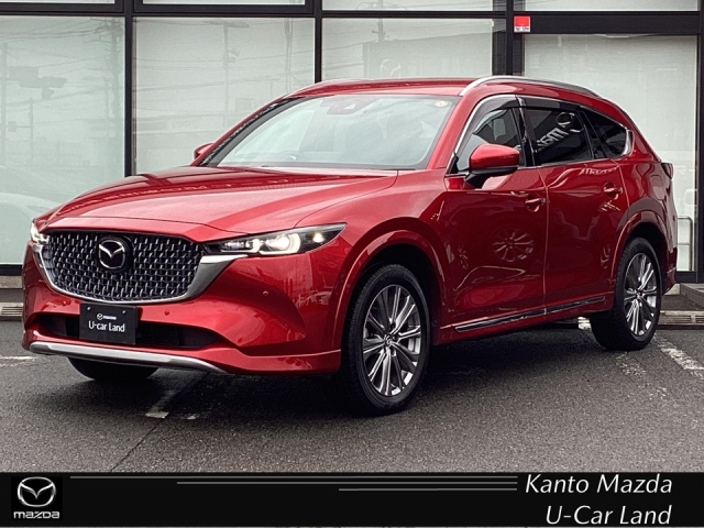 新着中古車