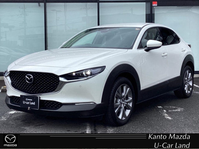 新着中古車