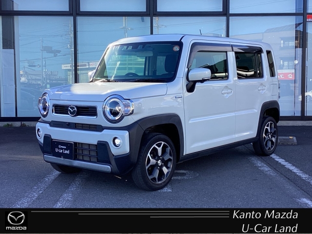 FLAIR CROSSOVER 660 HYBRID XS