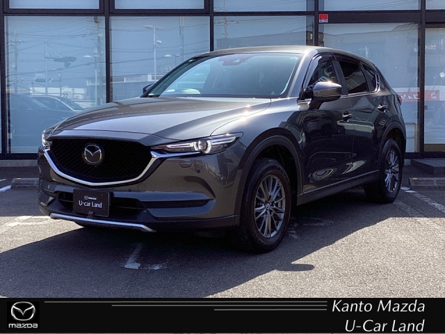 新着中古車