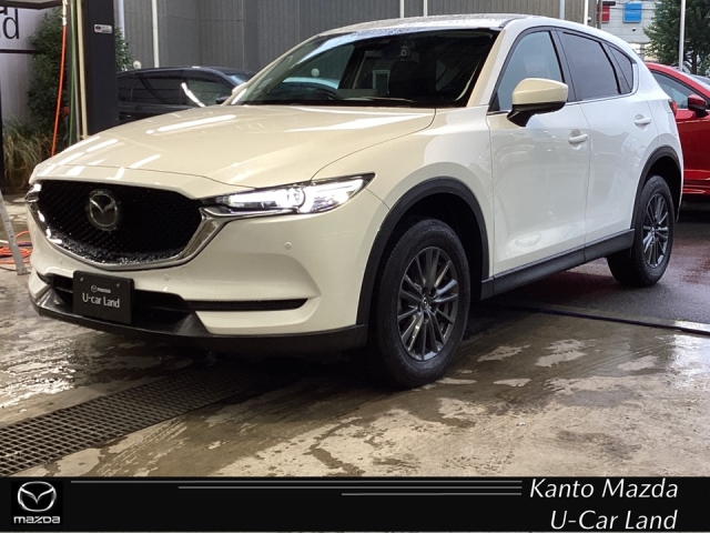 新着中古車