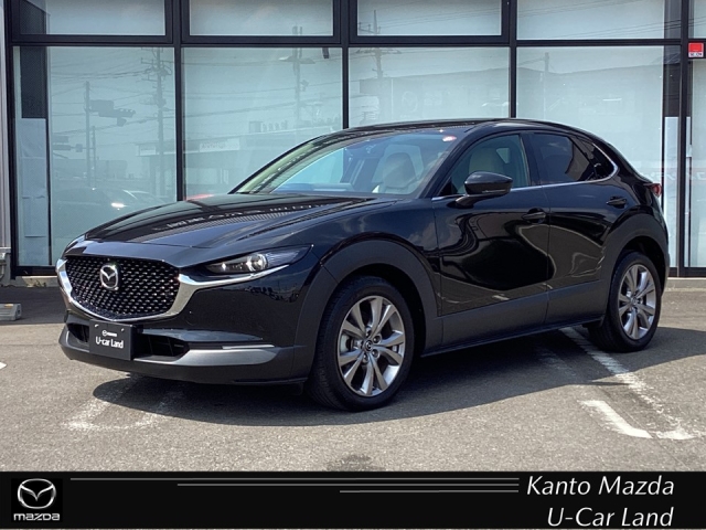 CX-30 XD プロアクティブ ツーリングセレクション ディーゼルターボ