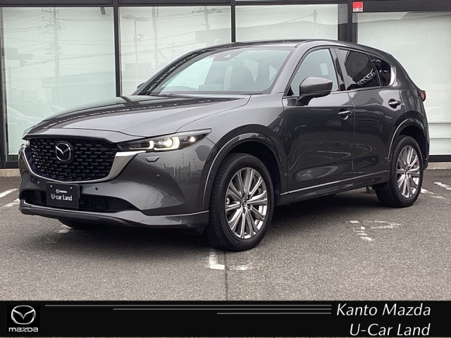 新着中古車
