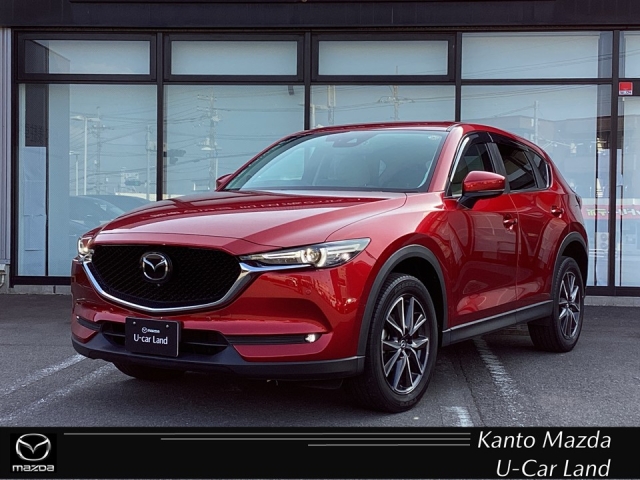 新着中古車