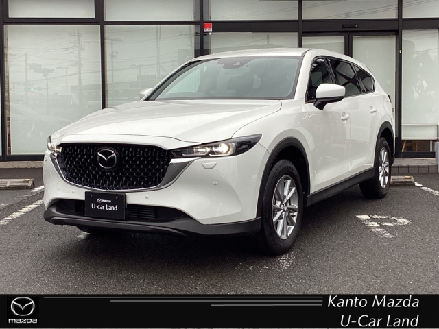 新着中古車