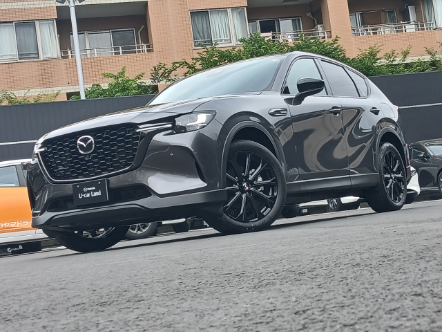 新着中古車