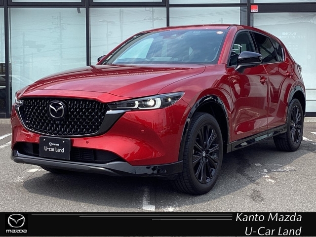 新着中古車