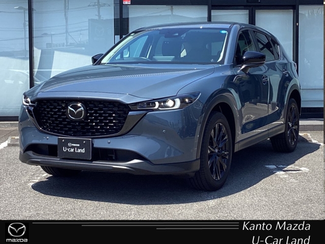 新着中古車