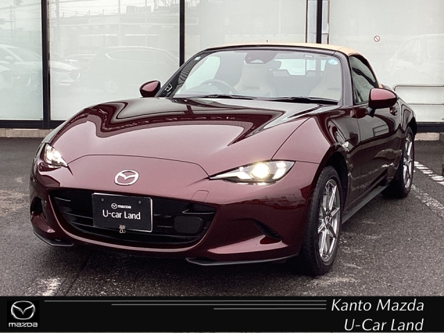 新着中古車