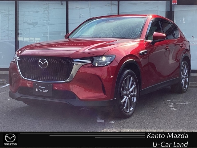 新着中古車