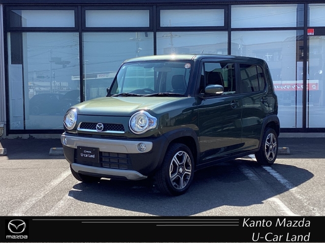 フレアクロスオーバー 660 XS