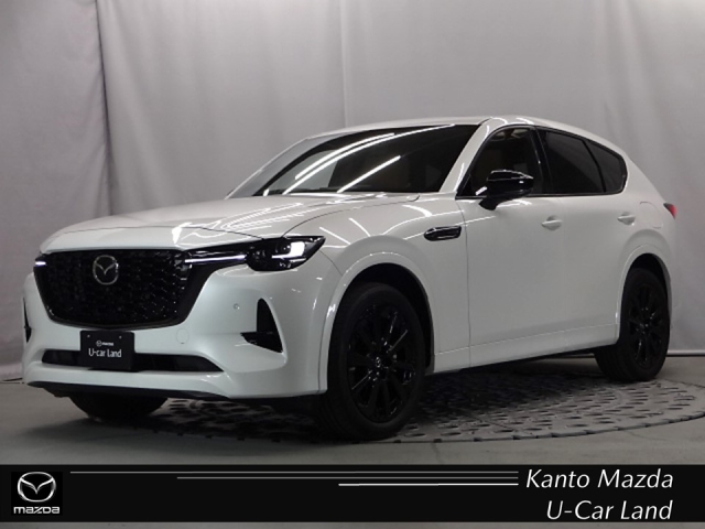 新着中古車