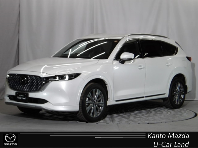 新着中古車