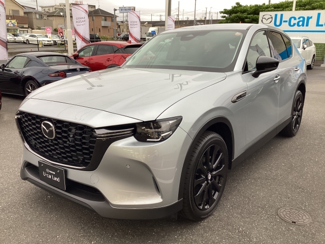 新着中古車