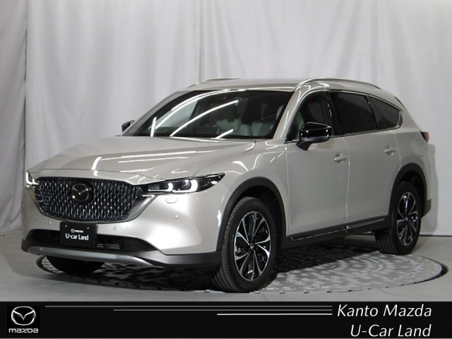 新着中古車
