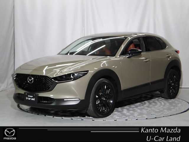 新着中古車