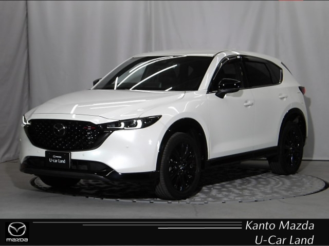 新着中古車